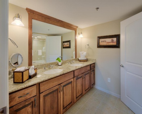 The Residences at Biltmore - Asheville - image 22