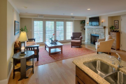 The Residences at Biltmore - Asheville - image 27