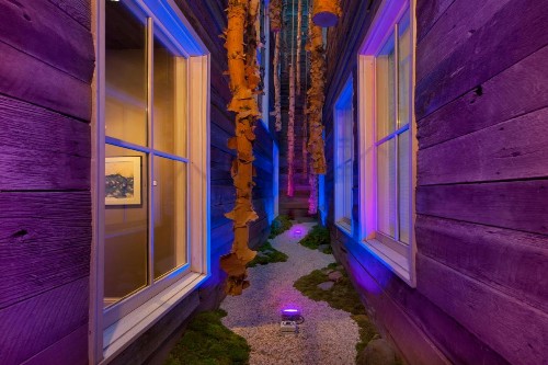 The Windsor - Asheville - image 4