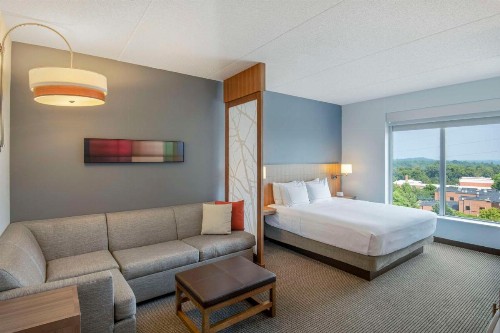 DoubleTree by Hilton Asheville Downtown - image 16