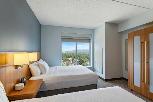 DoubleTree by Hilton Asheville Downtown - image 37