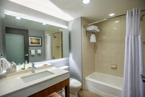 DoubleTree by Hilton Asheville Downtown - image 45