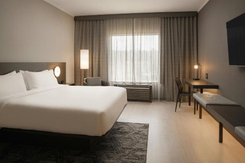 Holiday Inn Hotel & Suites - Asheville-Biltmore Vlg Area an IHG Hotel - image 20
