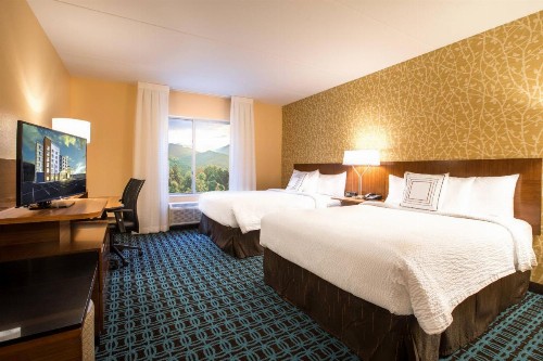 Fairfield Inn & Suites by Marriott Asheville Tunnel Road - image 19