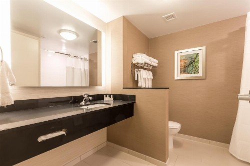 Fairfield Inn & Suites by Marriott Asheville Tunnel Road - image 2
