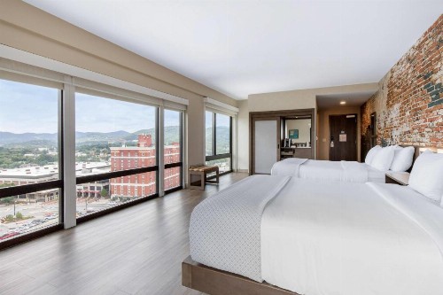 Cambria Hotel Downtown Asheville - image 39