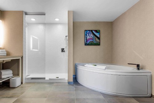 Cambria Hotel Downtown Asheville - image 44