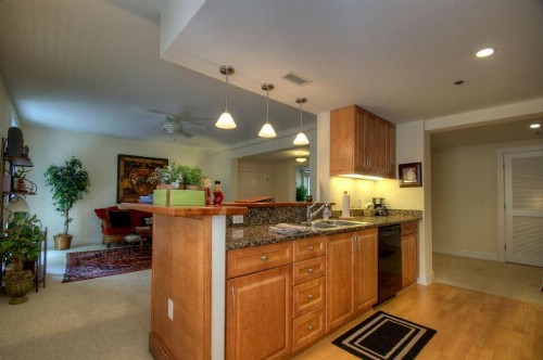 Biltmore Village Hideaway Condo - image 9
