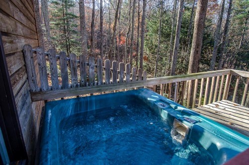 Asheville Cabins of Willow Winds - image 3