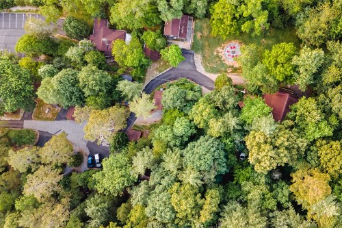 Log Cabin Motor Court - image 11