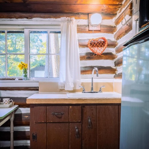 Log Cabin Motor Court - image 4