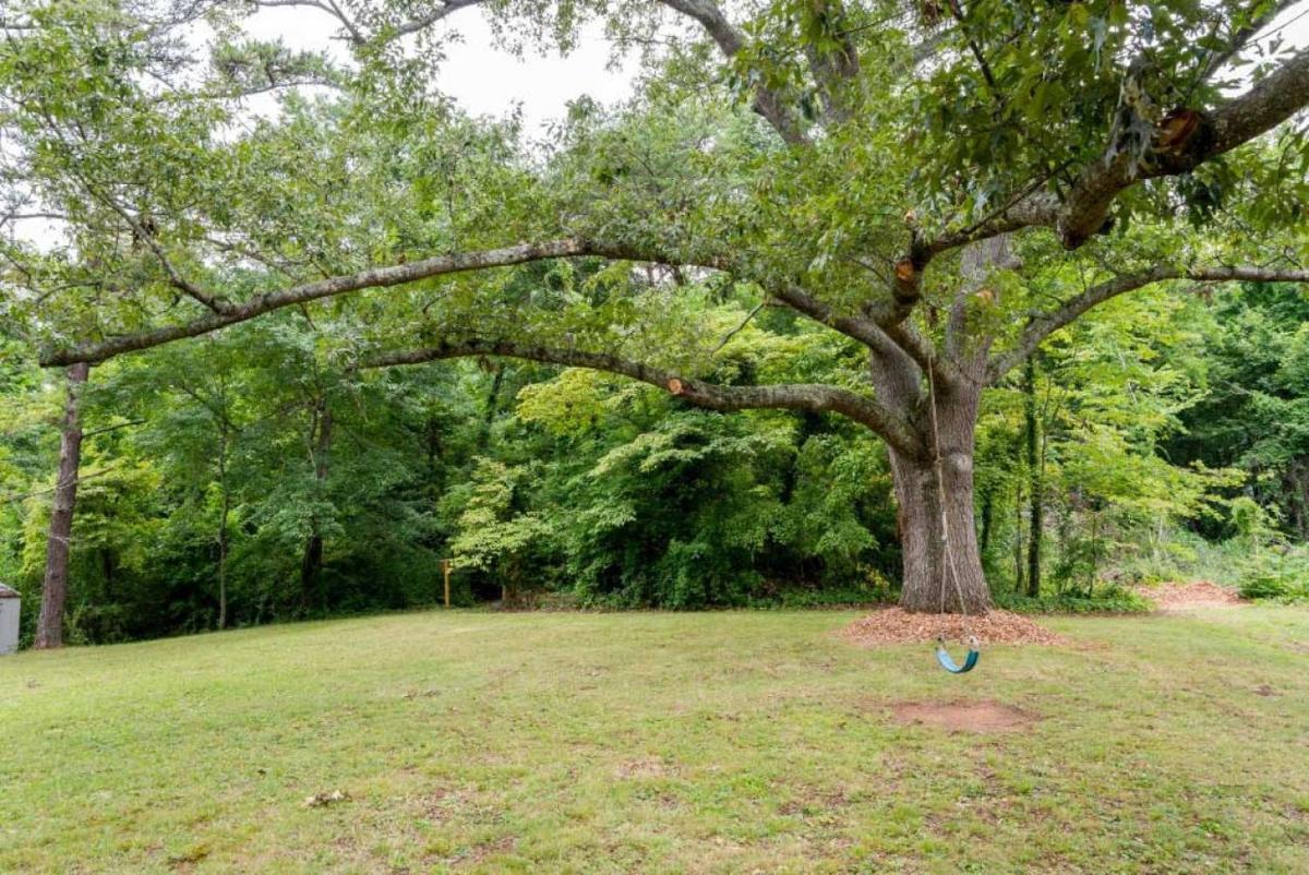 Celia's Retreat - image 7