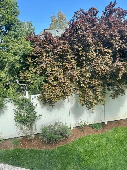 Bayberry Inn B&B - image 13