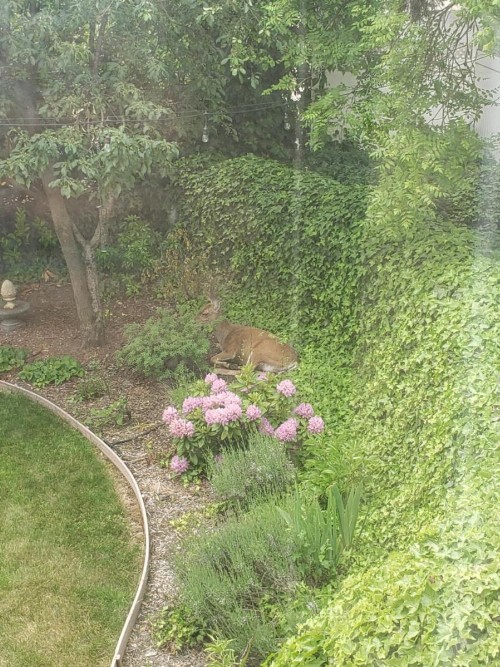 Bayberry Inn B&B - image 26