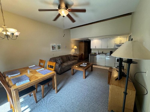 Shadow Mountain Lodge - image 43
