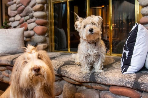 Aspen Mountain Lodge - image 12