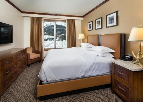 The Ritz-Carlton Aspen 3 Bedroom Luxury Residence Club Condo - image 6