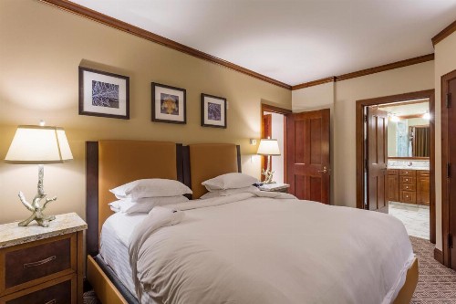 The Ritz-Carlton Aspen 3 Bedroom Luxury Residence Club Condo - image 9