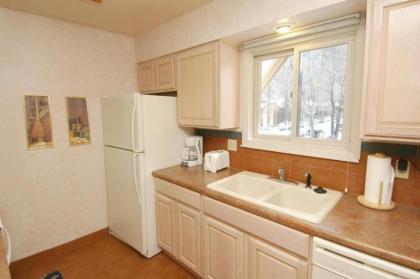Aspen Townhouse East Unit 7 - image 9