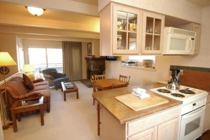 Aspen Townhouse East Unit 7 - image 10