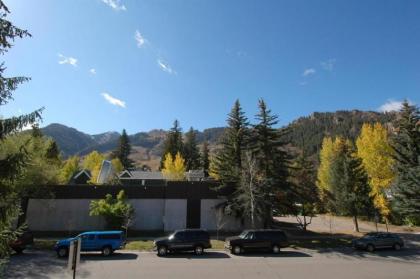 Holiday homes in Aspen Colorado
