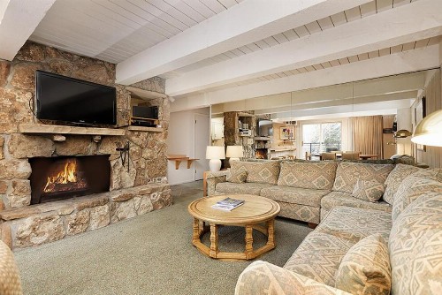 Chateau Roaring Fork Unit 14 - image 1