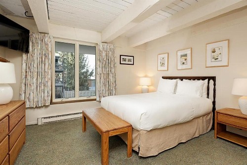 Chateau Roaring Fork Unit 14 - image 6