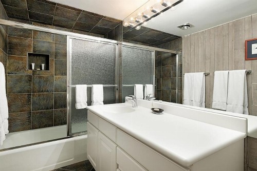 Chateau Roaring Fork Unit 14 - image 8