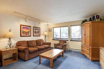 Silverglo Condominiums Unit 104 Aspen Colorado