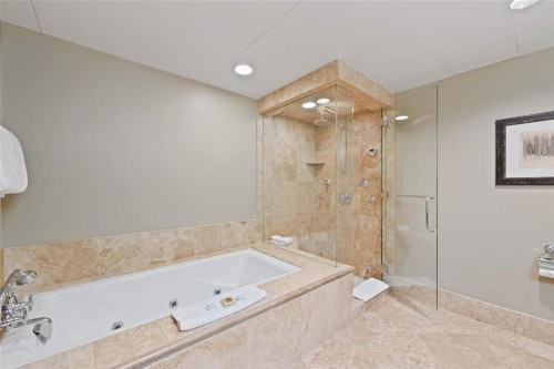 Hyatt Grand Aspen 2 Bedroom Downtown Residence Club Condo - image 13