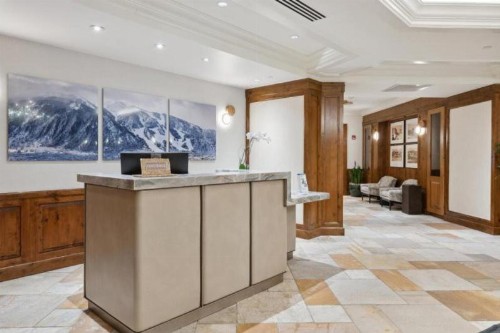 Hyatt Grand Aspen 2 Bedroom Downtown Residence Club Condo - image 22