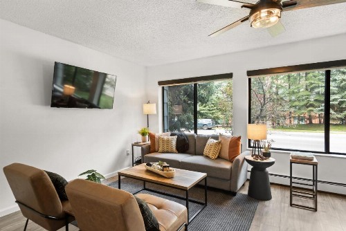 Glorious & Rugged Heart of Aspen Studio - image 15