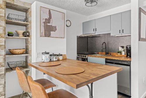 Glorious & Rugged Heart of Aspen Studio - image 17