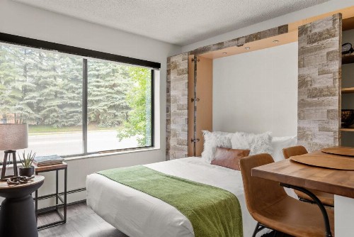 Glorious & Rugged Heart of Aspen Studio - image 20
