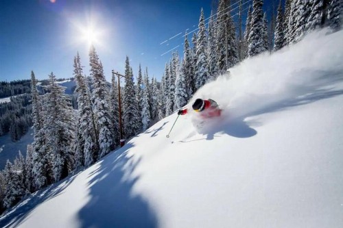 Glorious & Rugged Heart of Aspen Studio - image 7