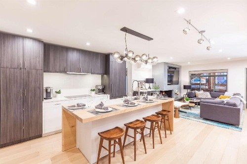 New Mountain Modern - Aspen Core - image 6