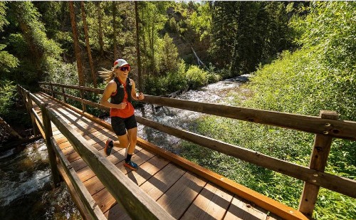 Everything You Need - Steps To Gondola! - image 33