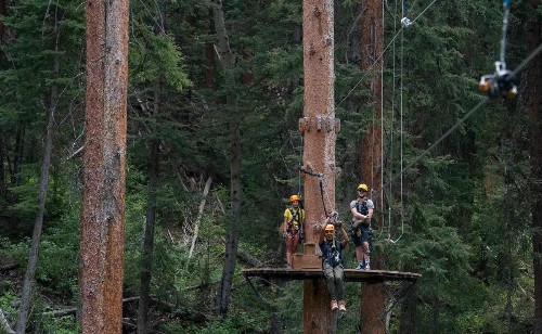 Everything You Need - Steps To Gondola! - image 45