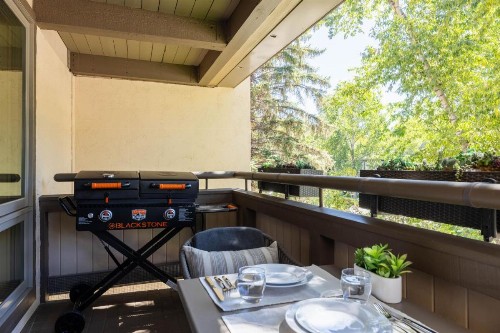 New Listing! Luxurious 2 BR - Mountain Views - Aspen Core - image 28