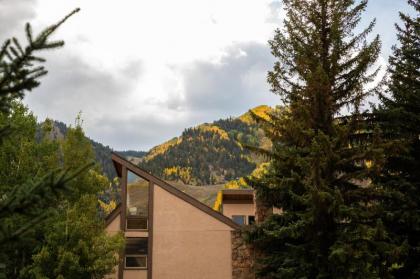 New Listing! Newly Renovated 2 BR in Town Mountain Views - image 13
