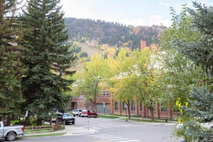 New Listing! Newly Renovated 2 BR in Town Mountain Views - image 15