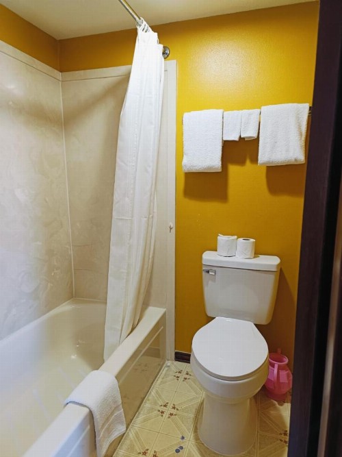 Victorian Inn Athens - image 13