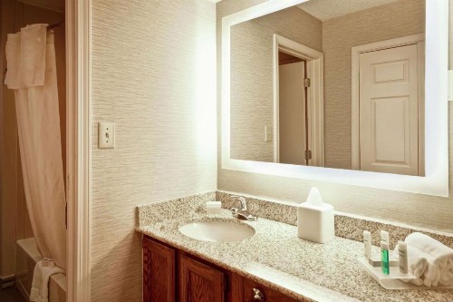 Homewood Suites by Hilton Atlanta-Galleria/Cumberland - image 34
