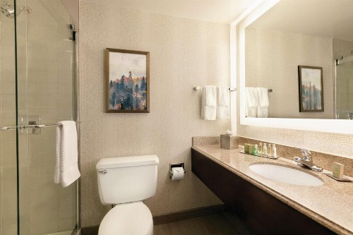 DoubleTree by Hilton Atlanta Northeast/Northlake - image 9