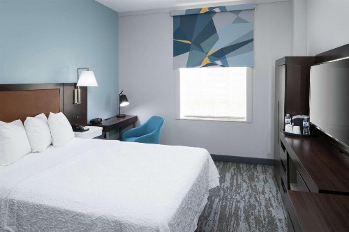 Hampton Inn & Suites Atlanta-Downtown - image 11