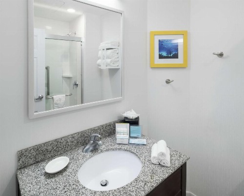 Hampton Inn & Suites Atlanta-Downtown - image 13
