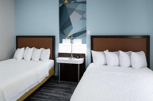 Hampton Inn & Suites Atlanta-Downtown - image 42