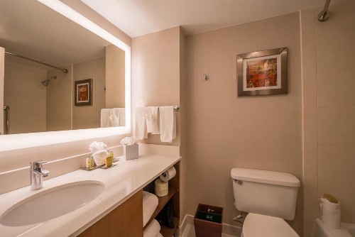 DoubleTree by Hilton Atlanta North Druid Hills/Emory Area - image 10