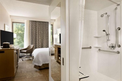 Hampton Inn Atlanta-Buckhead - image 11