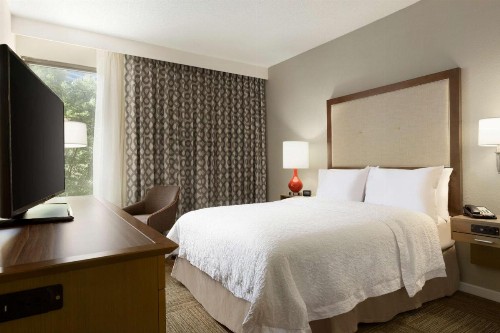 Hampton Inn Atlanta-Buckhead - image 22